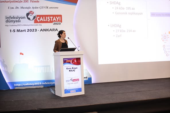 İNFEKSİYON DÜNYASI ÇALIŞTAYI 2023’ün “CUMHURİYETİMİZİN 100.YILINDA DİĞER ÜLKELERLE KARŞILAŞTIRILDIĞINDA HEPATİT B TEDAVİSİNDE 2030 HEDEFİNE KİM DAHA YAKIN, NEDEN?” oturumunda, Prof. Dr. Sıla AKHAN’ın başkanlığında, Prof. Dr. Süda TEKİN “Epidemiyolojisi ve Klinik Seyrinde Neler Değişti?”, Prof. Dr. Ramazan İDİLMAN “Hepatit B ve Steatoz Ne Kadar Önemli?” ve Doç. Dr. Esra KAYA KILIÇ “Hepatit D İçin Tam Eradikasyon Çözümleri Sona Yaklaşıyor Mu?” sunumlarını gerçekleştirdiler.  